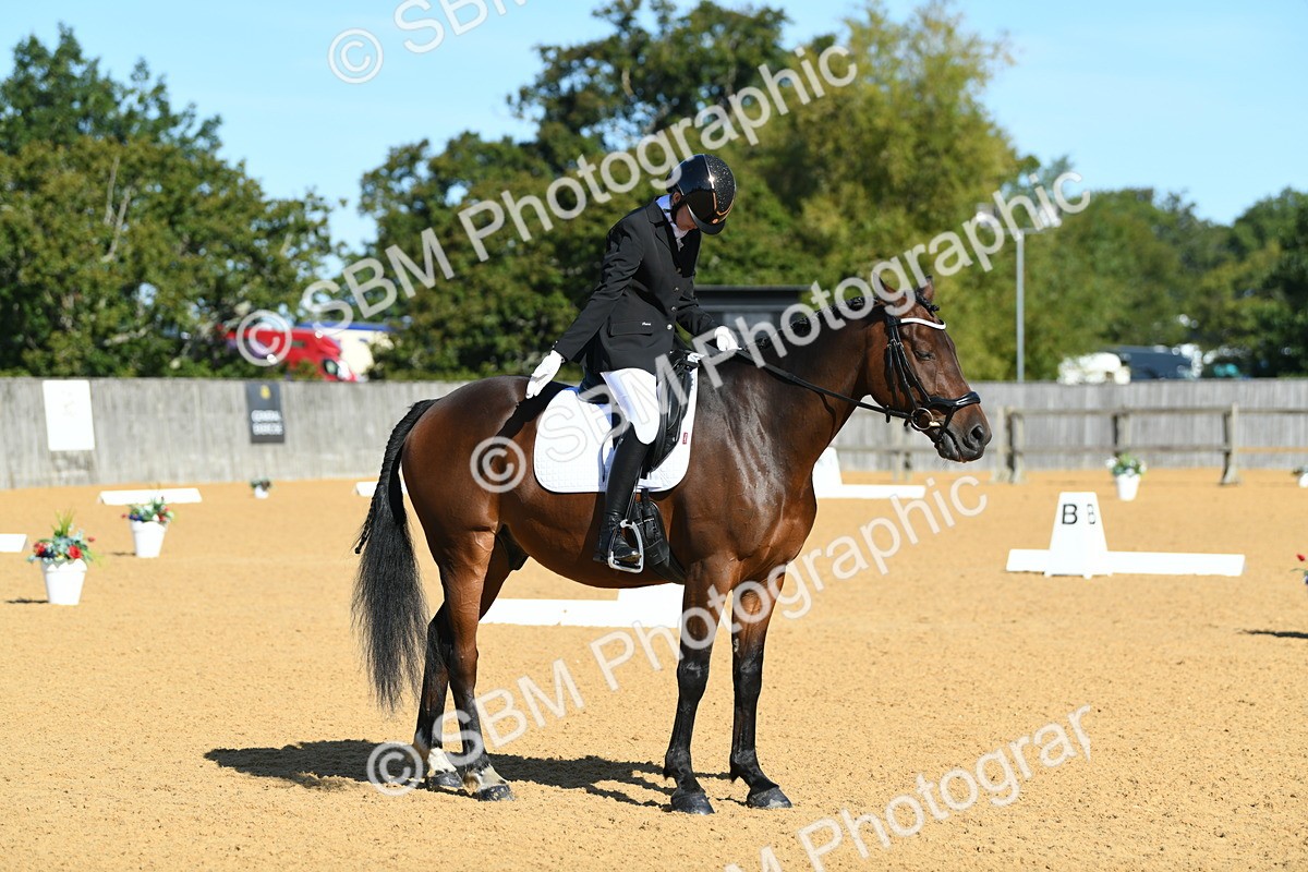 SBM_18004 - D4 - Small Tour Championship - Intro B