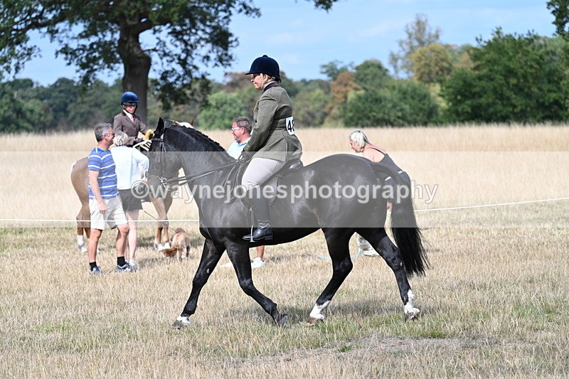 WJ7_5876 - Class 13 Ridden Veterans