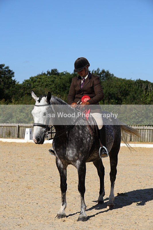 1X9A7695 - Class 8: Small Ridden Hunter