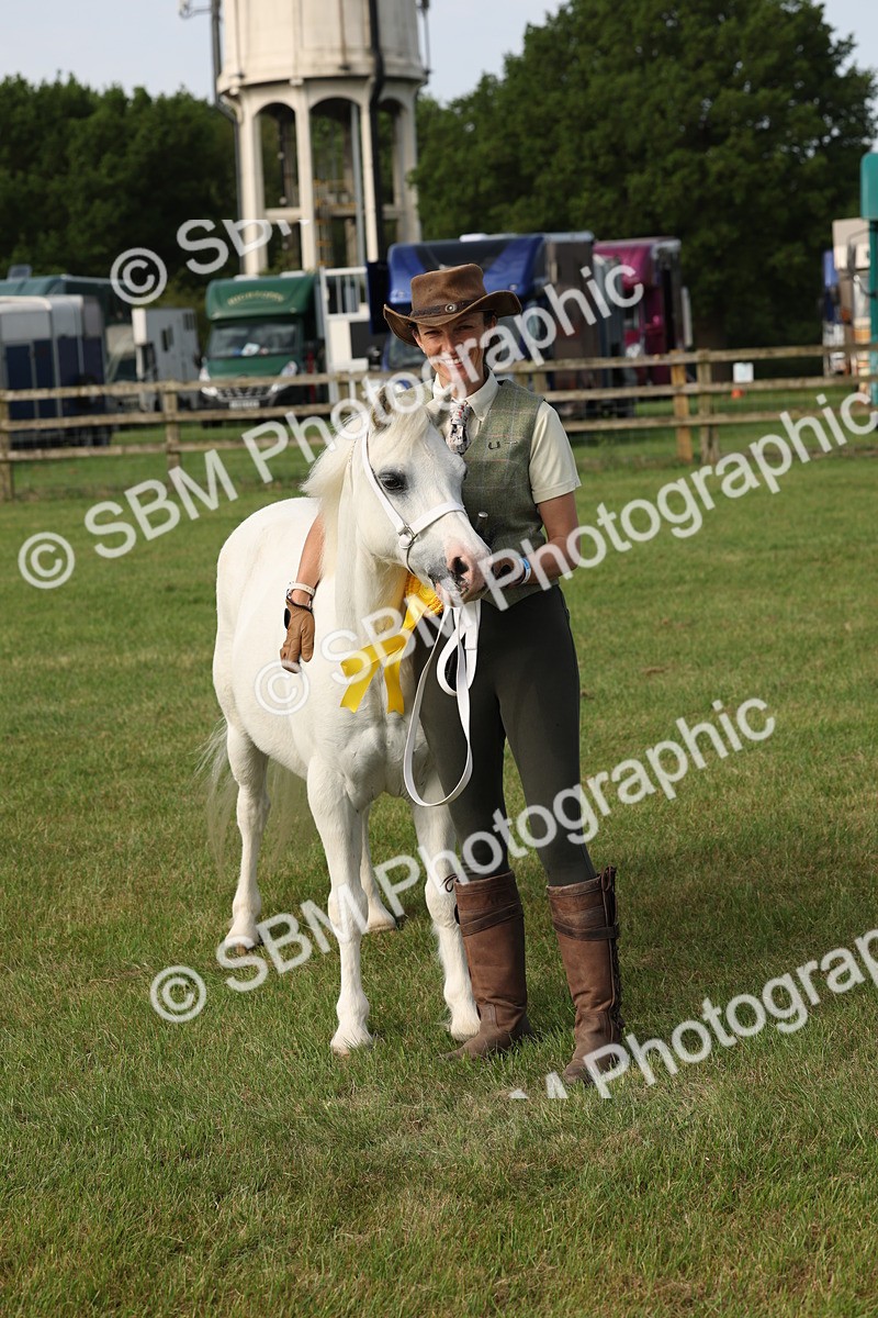 SBM_00594 - Class 6-13 - Mountatin and Moorland In Hand Welsh Breeds