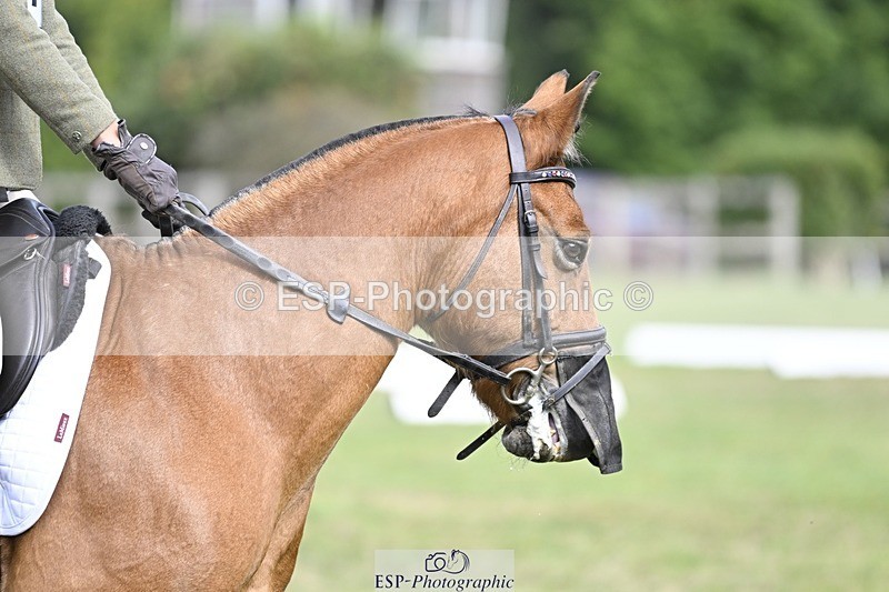 250821A-102922-14376 - DR 10.00 to 11.00