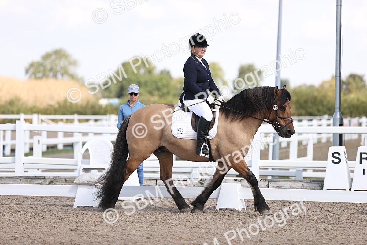 SBM_03589 - CLass 35 Intro 3