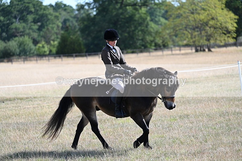WJ7_2920 - Class 8 Ridden Tack & Turnout