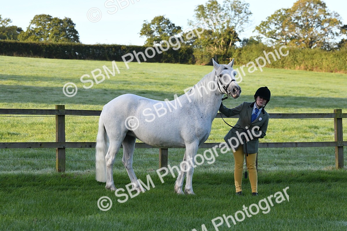 SBM_32600 - S15 - Condition & Turnout In Hand