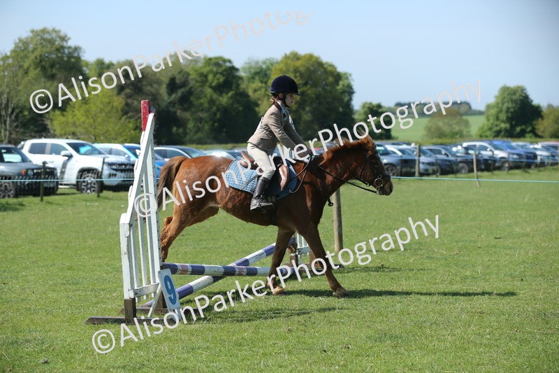 20250427-1941 - Class 2 - Mini Jumping 30cm