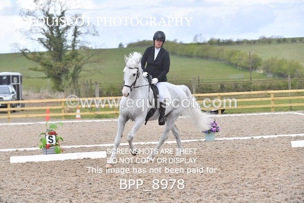 BPP_8978 - ELEM 6