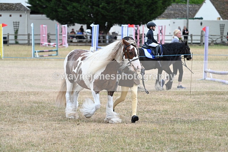 WJ7_8259 - Class 4 Prettiest Mare up to 14.2hh