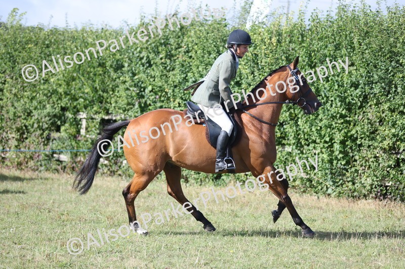 20250831-0827 - Class 14 - Ex Racehorse