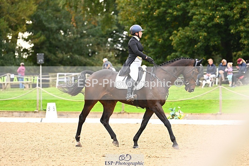 231020-154246-12068 - 318-KILTEALY.PROPHET-Alice.Dunsdon-DR