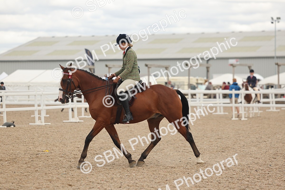 SBM_18144 - Class 315 - Best Horse-Rider Combination