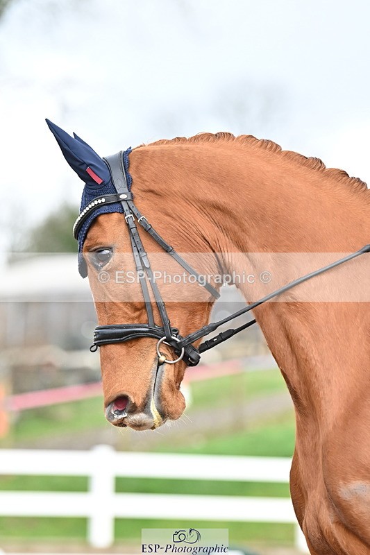 240218A-123552-07024 - 208-Charlotte.Dicker-Catherston.Zahara