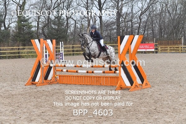 BPP_4603 - CLASS 5 Pony Discovery / 90cm Open