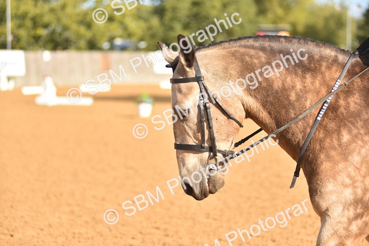 SBM_15774 - D4 - Small Tour Championship Intro 4