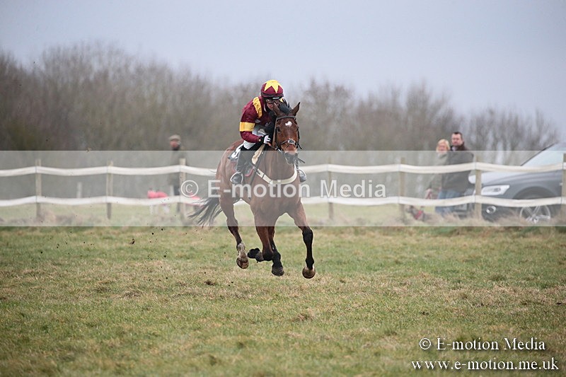 PtP 170219 -92 - Combined Services Point-To-Point Larkhill 17/02/19
