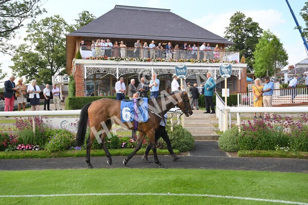 yr23072021r1-1 - Race 1 6.00pm John Wright Electrical Silk Series Lady Riders Handicap