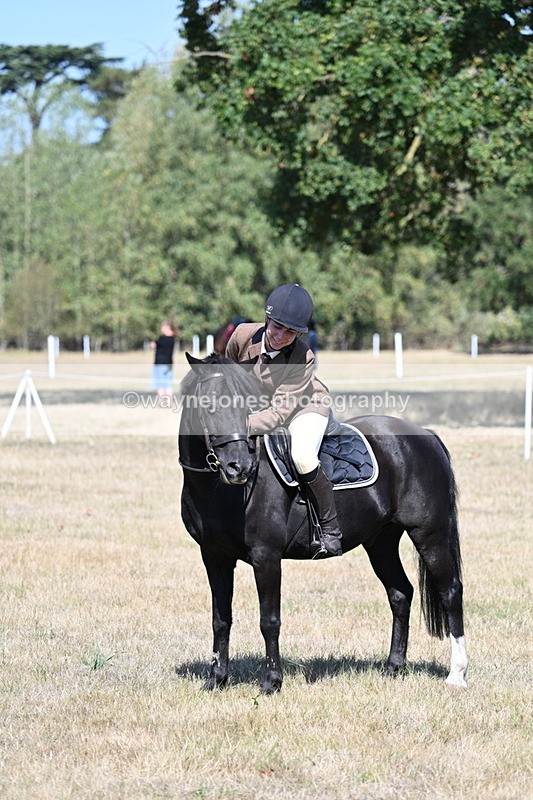 WJ7_4101 - Class 9 Mountain & Moorland Ridden