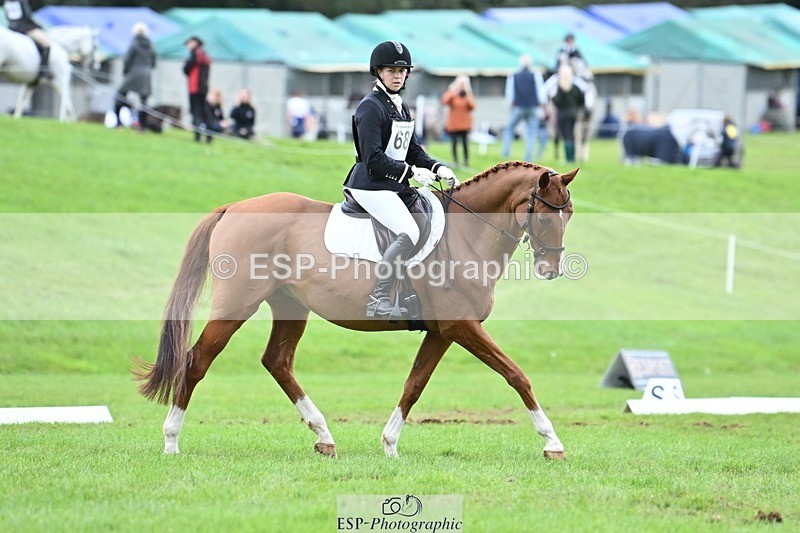 231020-152828-11486 - 686-MOORLAND.MAGIC-Charlotte.Chard-DR