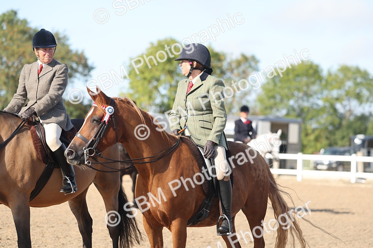 SBM_22334 - Class 803 - Ridden Combination 65+