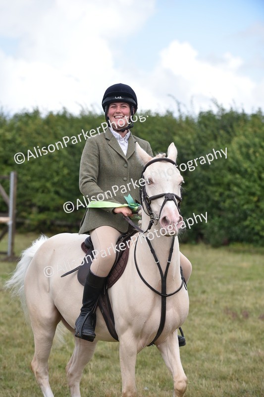 20250831-4142 - Class 13 - Working Hunter Horse or Pony