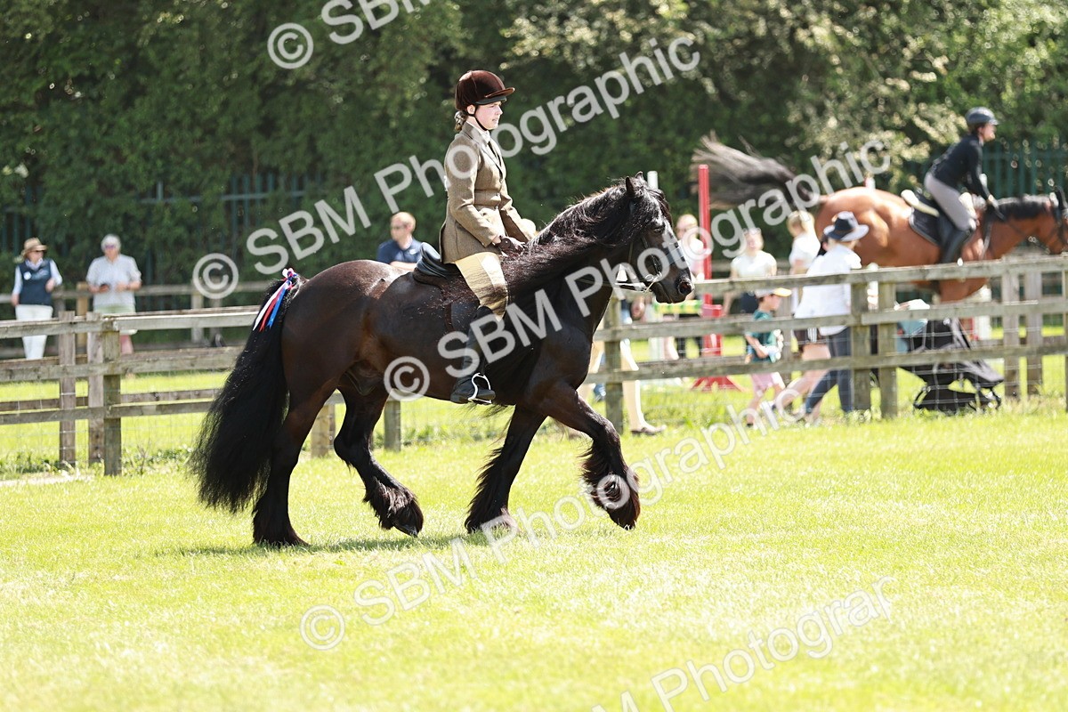 SBM_07033 - Class 26-30 - Mountain and Moorland Ridden