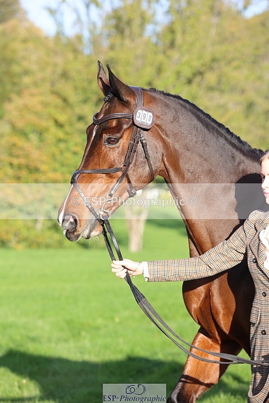 251026A-093810-22388 - E-398-Fenella.Redvers