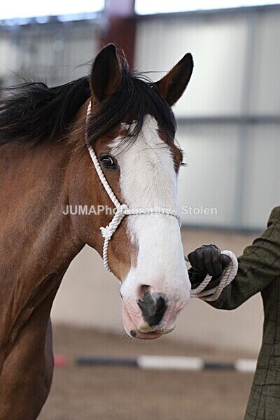 SIAL0272 - Indoor Classes