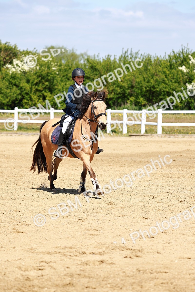 SBM_007575 - Class 3 - 60cm