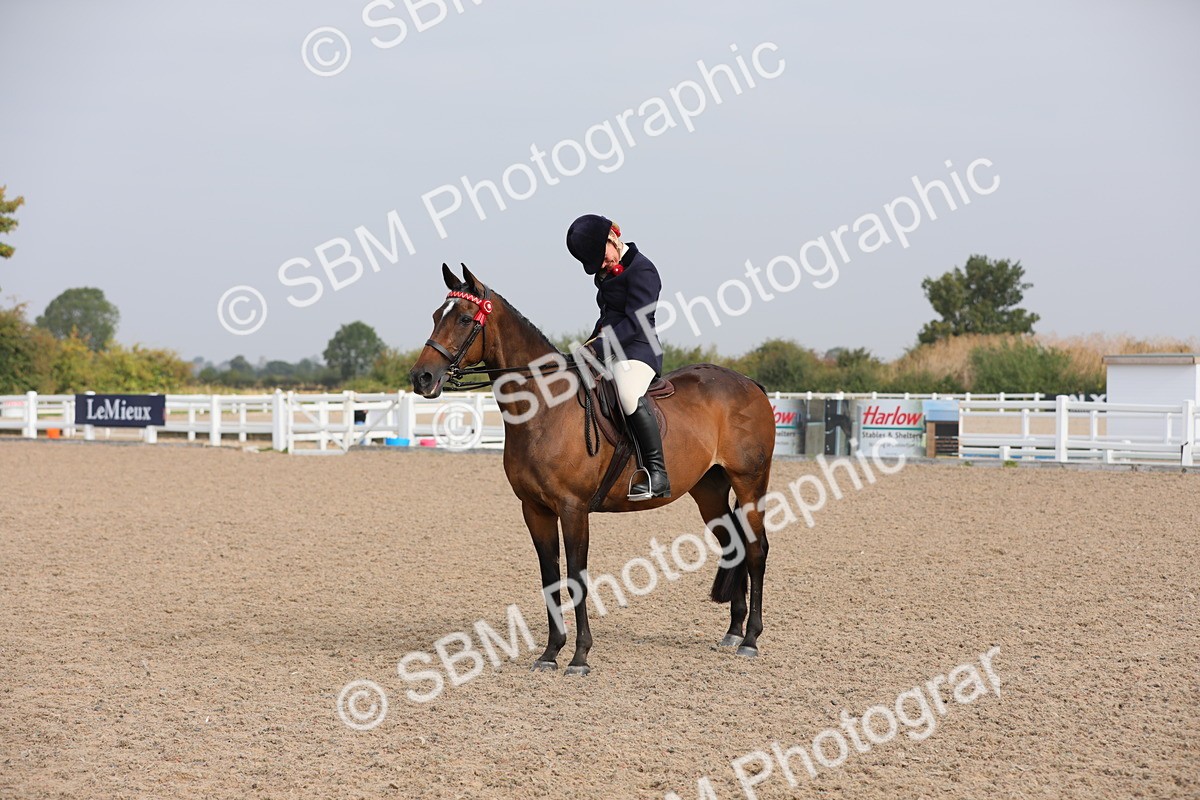 SBM_10691 - Class 303 Ridden Pure Bred Horse/Pony (excl M&M)