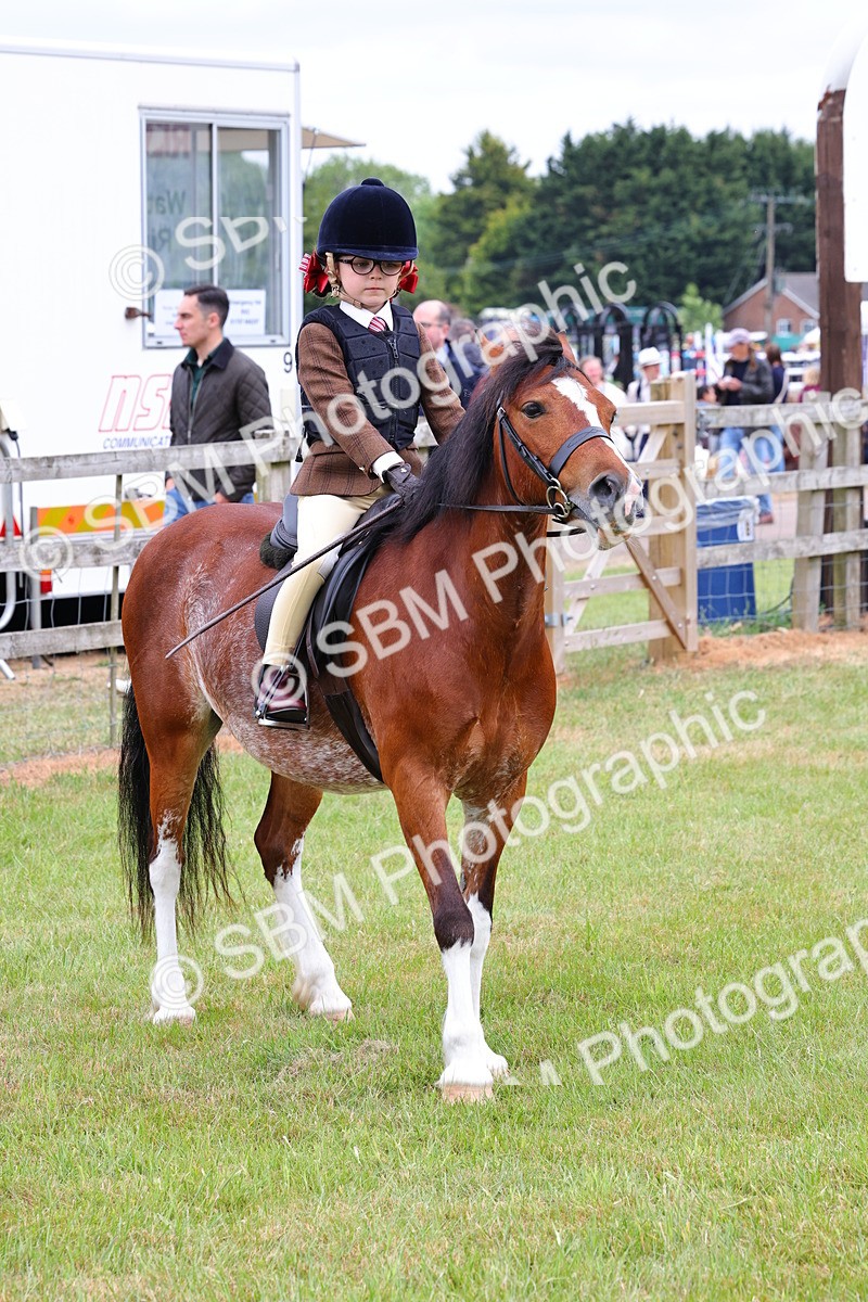 SBM_08812 - Class 42-43 - LIHS BSPS Heritage Working Sports Pony