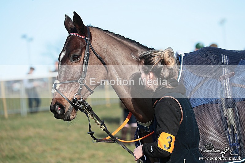 PtP 240126 28 - Cambridgeshire & Enfield Chase PtP Horseheath 24/01/26