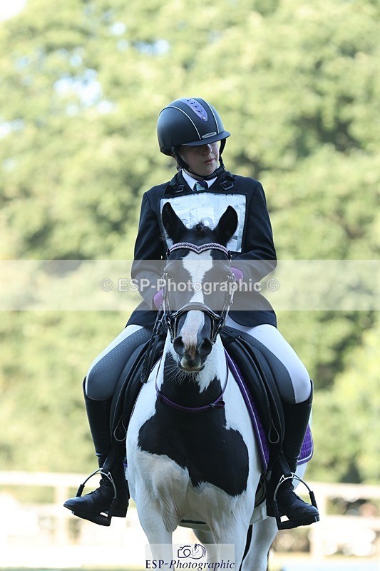 250823A-083741-25741 - Arena D