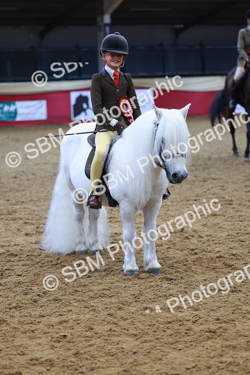 SBM_09869 - Class 102 - HOYS Veteran Qualifier - Ridden Veteran