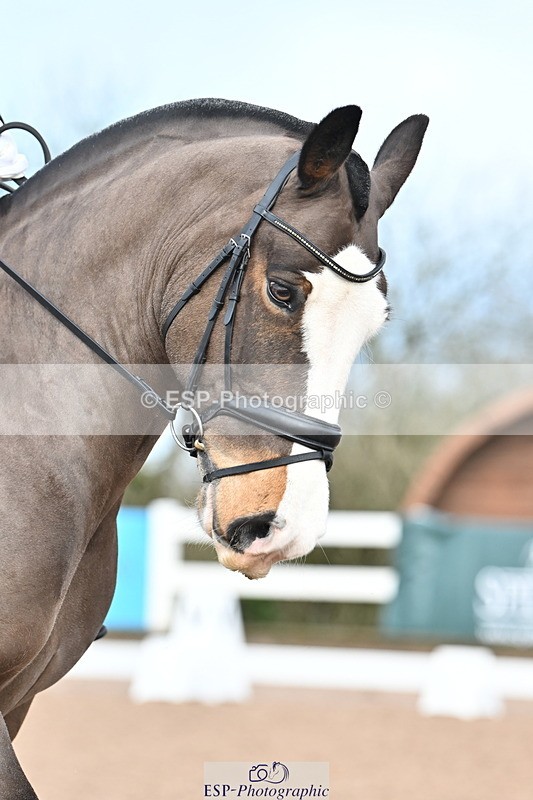 240218A-100031-04933 - 134-Abby.Hayes-Rathnagrew.Pride