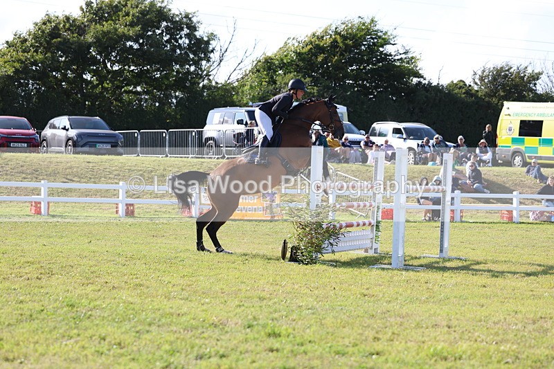 3E7A4302 - Class C: Showjumping Senior Foxhunter