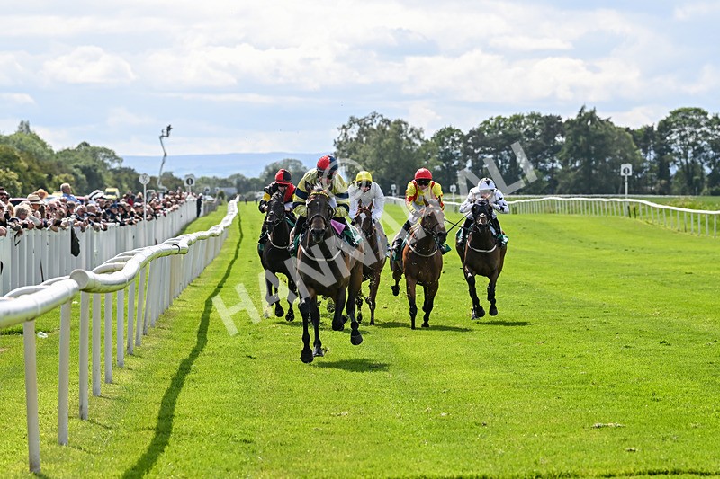 060625-Race 5-Miss Brazen-4916 - Race 5