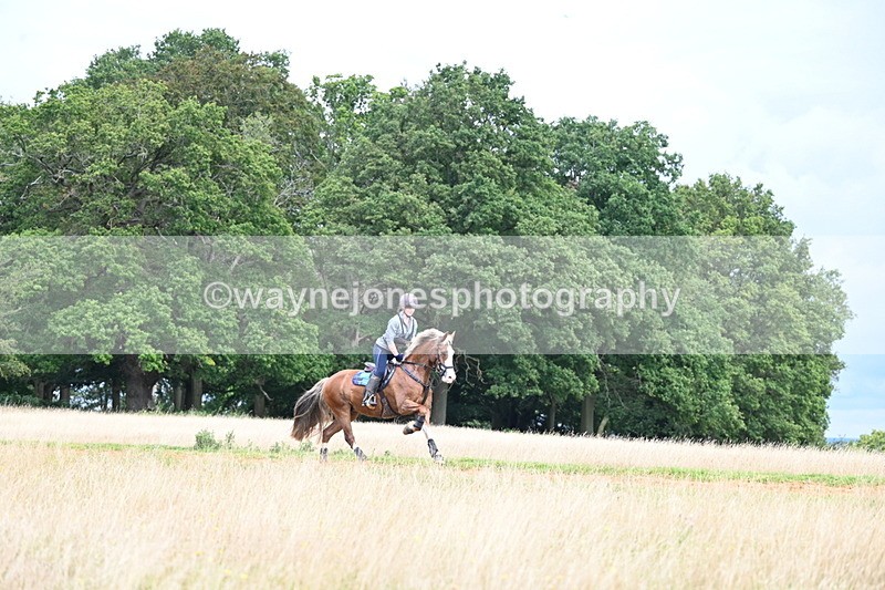 DSC_4571 - Time at Statue 09:50 to 11:09