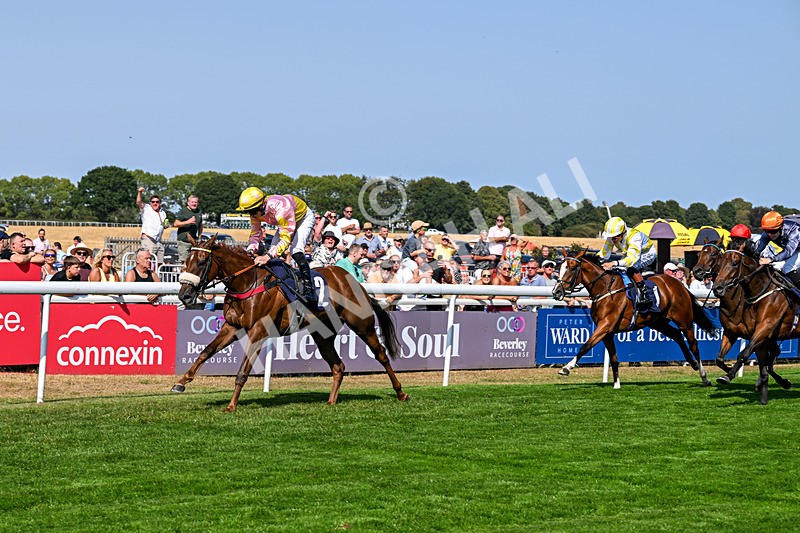 130826-Race 3-State Of Gold-8781 - Race 3 15.15pm Hornsea Ladies At The Races Nursery Handicap