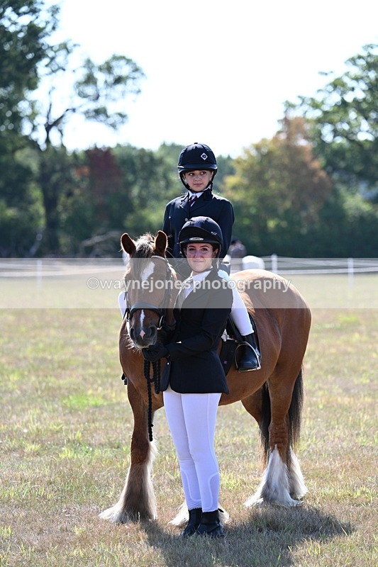 WJ7_3205 - Class 8 Ridden Tack & Turnout