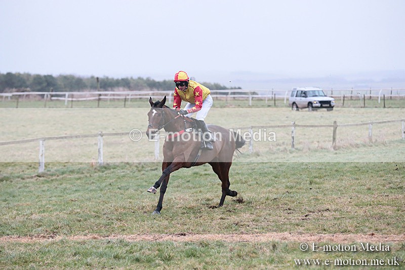 PtP 230119 414 - Royal Artillery Point-to-Point  - Larkhill  - 26/01/19