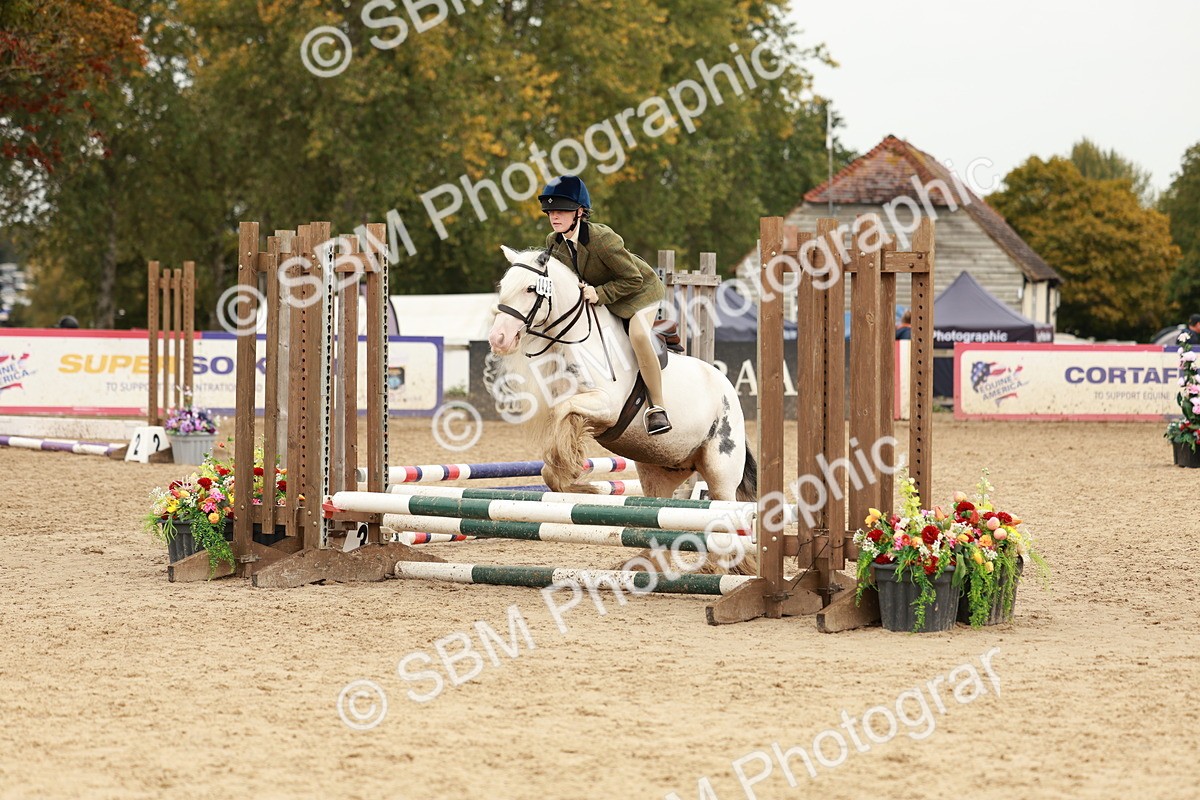 SBM_58060 - J11 - Junior Pony 50cm Championship