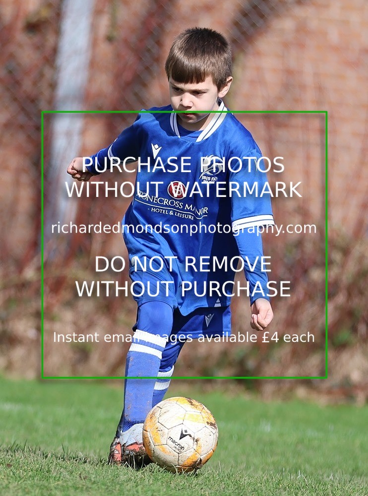 533A8198 - Ibis Under 8's (14/3/26)