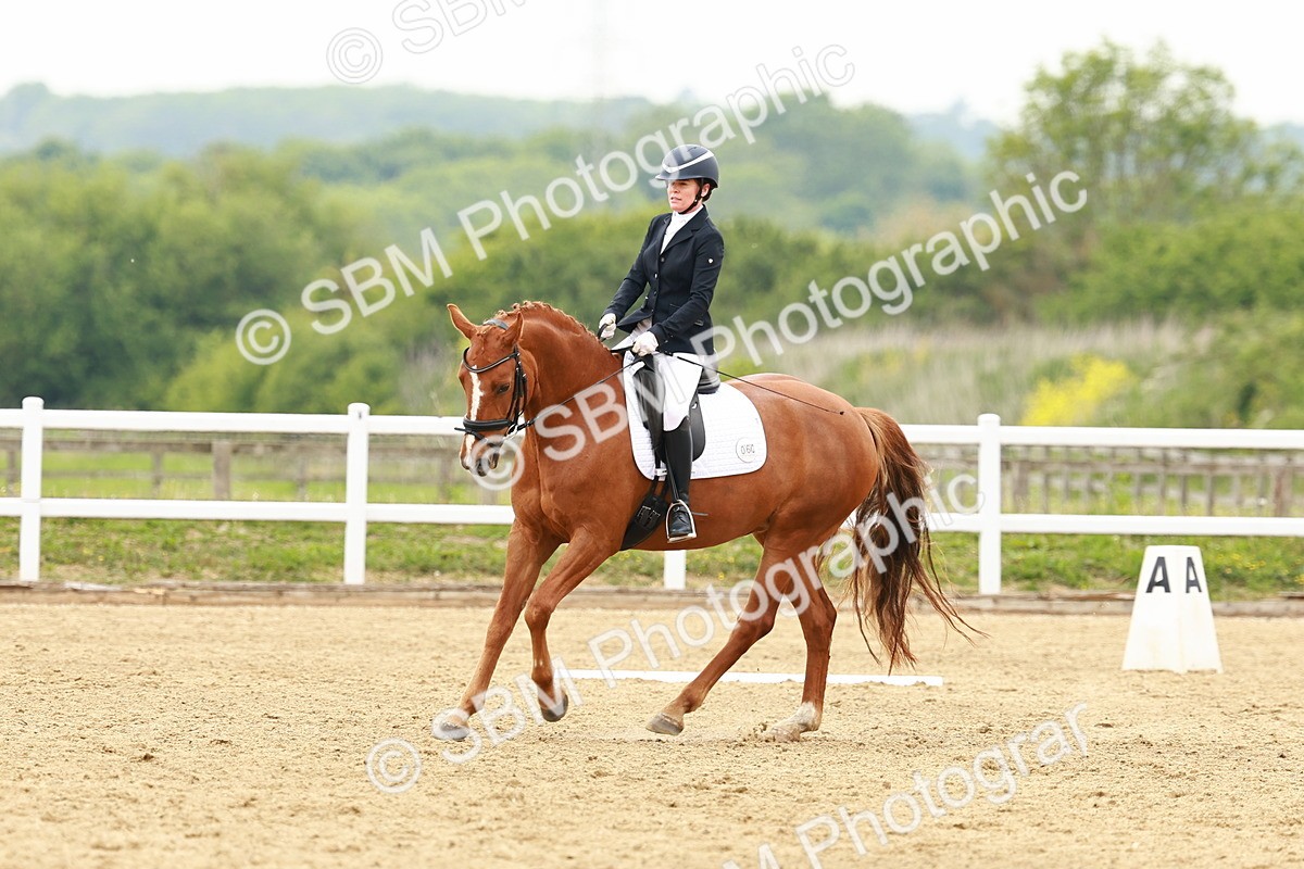 SBM_001353 - Class 7 - Novice 5