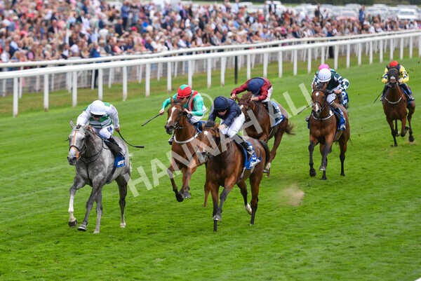 yr18082022r4-39 - Race 4 3.35pm Darley Yorkshire Oaks (British Champions Series Race)