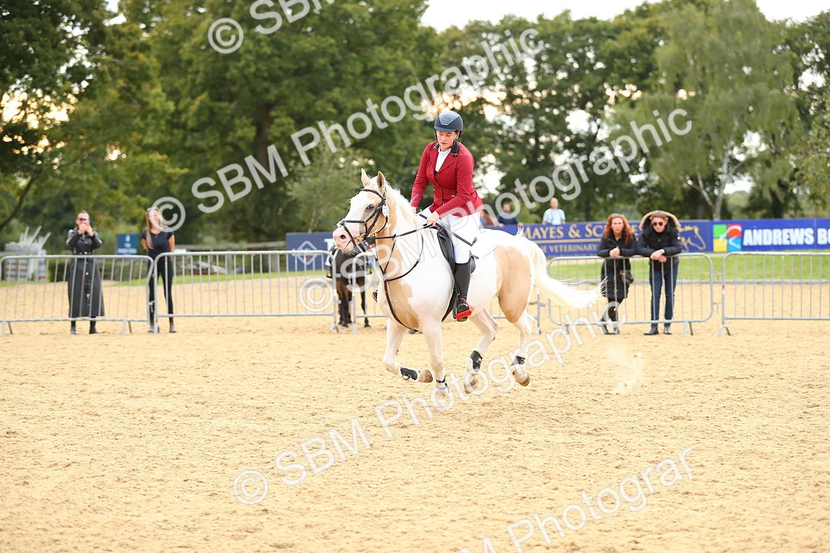 SBM_76203 - J19 - Junior 90cm Supreme Championship
