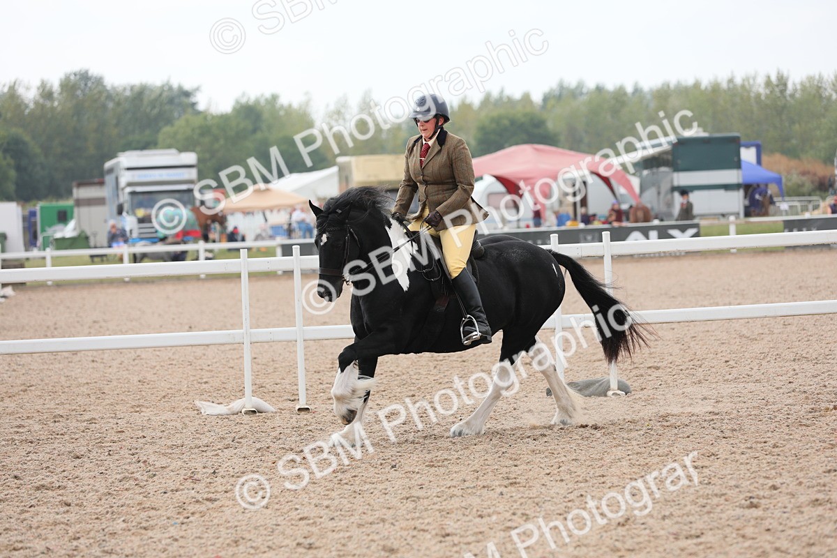 SBM_12748 - Class 307 Ridden Coloured Pony