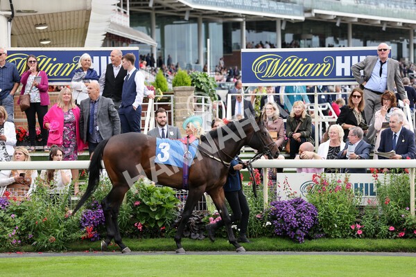 yr24092021r4-5 - Race 4 3.15pm William Hill Play Responsibly British EBF Restricted Novice Stakes