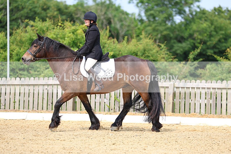 3E7A9083 - Class 2: Intro 1 2024 Section B