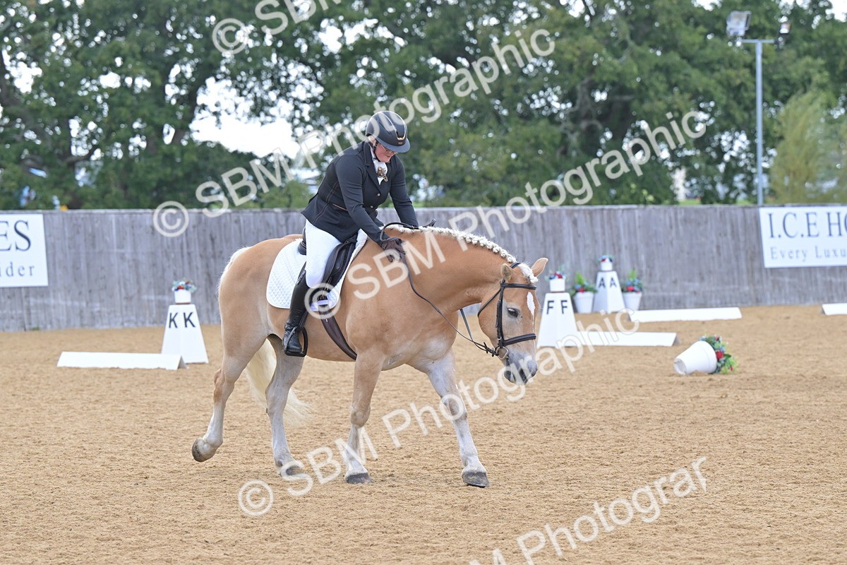 SBM_11161 - D3 - Small Tour Championship Intro 3