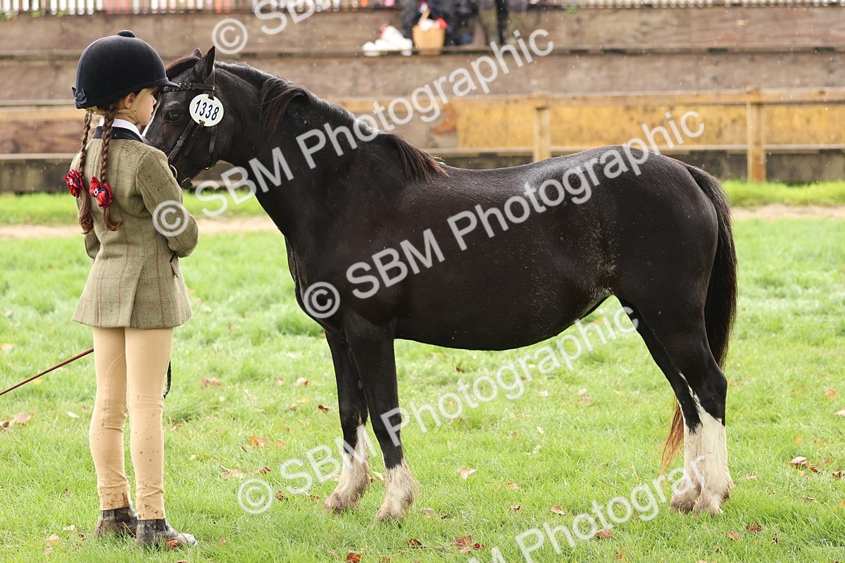SBM_39334