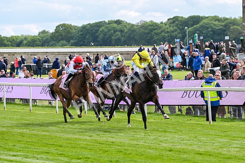 150526-Race 5-Rahiebb-8111 - Race 5 4.05pm Boodles Yorkshire Cup Stakes